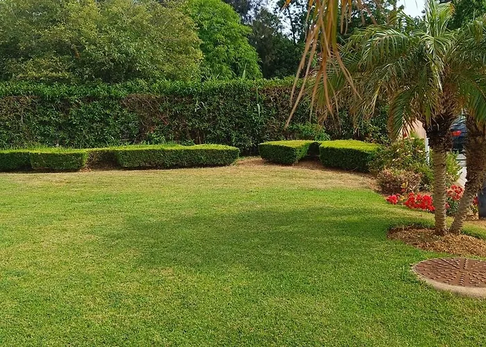 Sol Da Rocha Blue Horizon Appartement